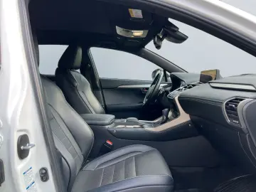 NX 300h E-FOUR F SPORT  Matrix 360  Levinson Pan