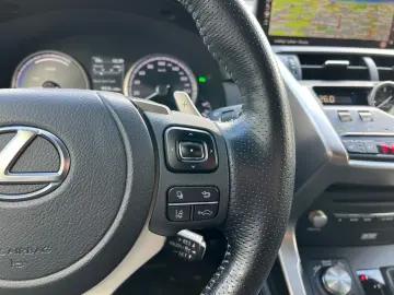 NX 300h E-FOUR F SPORT  Matrix 360  Levinson Pan