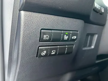 NX 300h E-FOUR F SPORT  Matrix 360  Levinson Pan