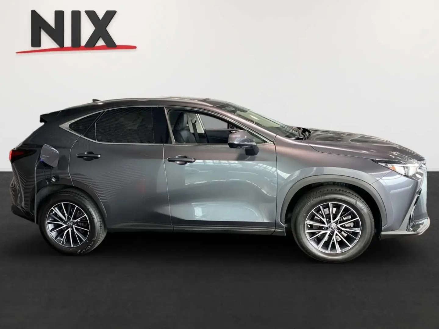 NX 450h  E-FOUR Business KAMERA  NAVI