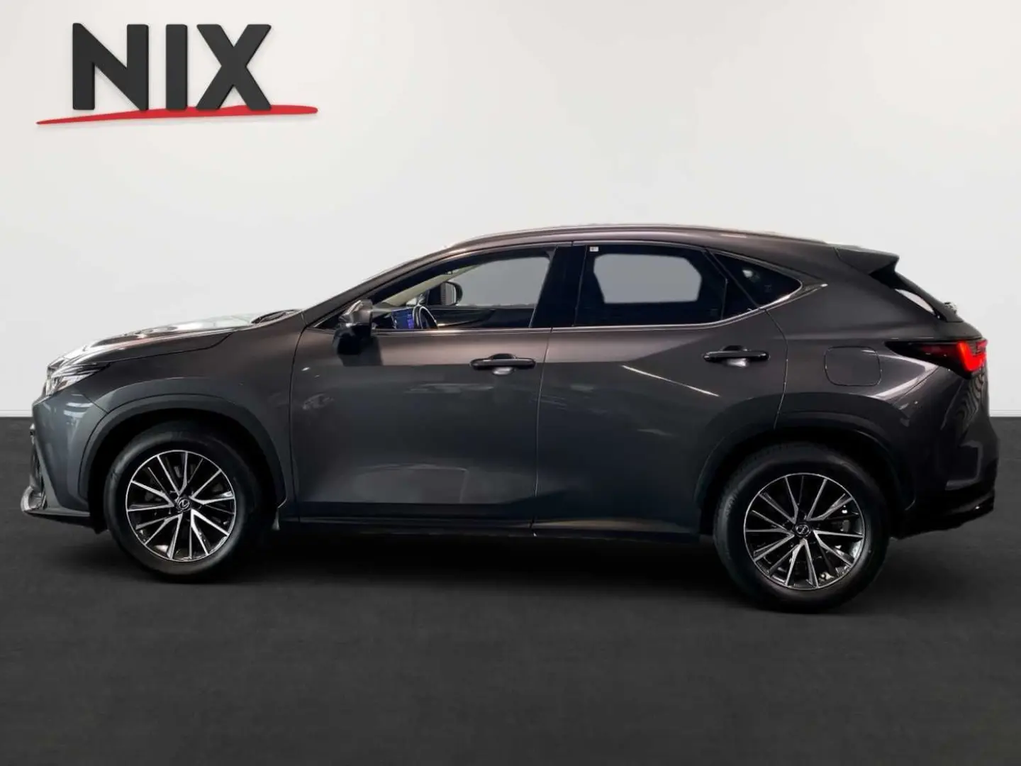 NX 450h  E-FOUR Business KAMERA  NAVI