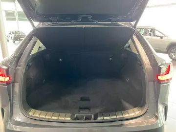 NX 450h  E-FOUR Business KAMERA  NAVI