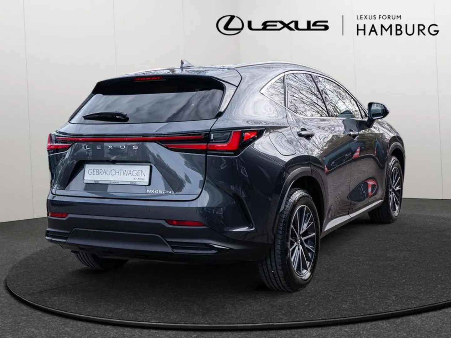 NX 450h   Executive Interieur Paket