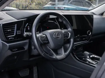 NX 450h   Executive Interieur Paket