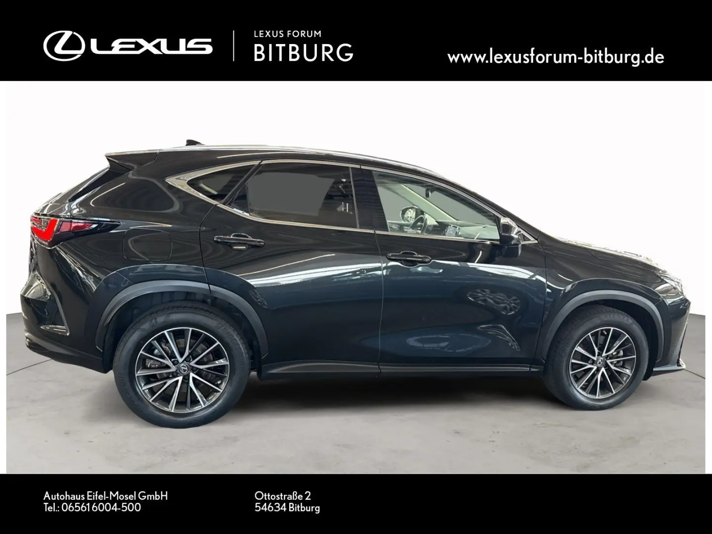 NX450h  Executive Technologie Interieur