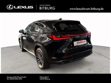 NX450h  Executive Technologie Interieur