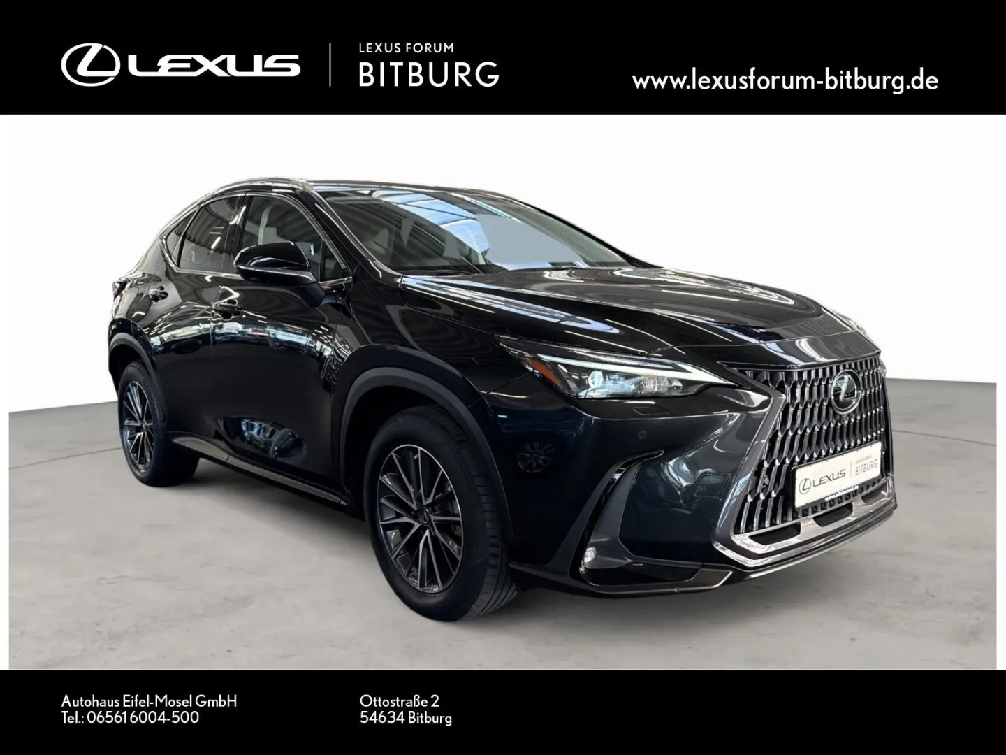 NX450h  Executive Technologie Interieur