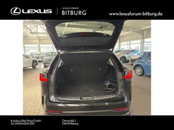 NX450h  Executive Technologie Interieur