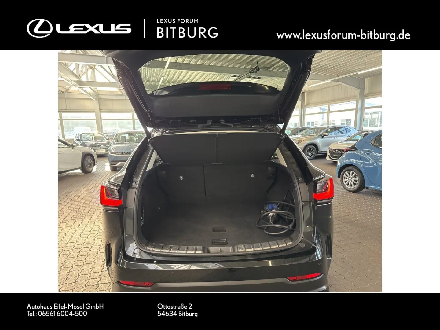 NX450h  Executive Technologie Interieur