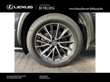 NX450h  Executive Technologie Interieur