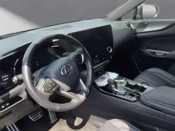 NX 350h F Sport