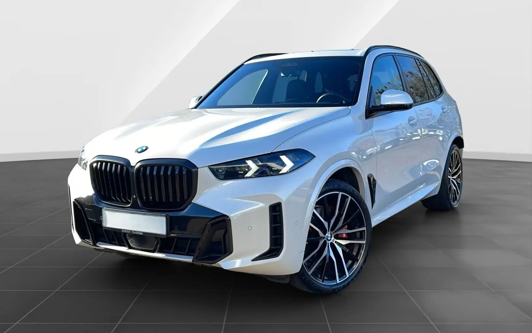 X5 xDr30d MSportPro SoftClose Ventil IcGlow ParkHeater DaPro