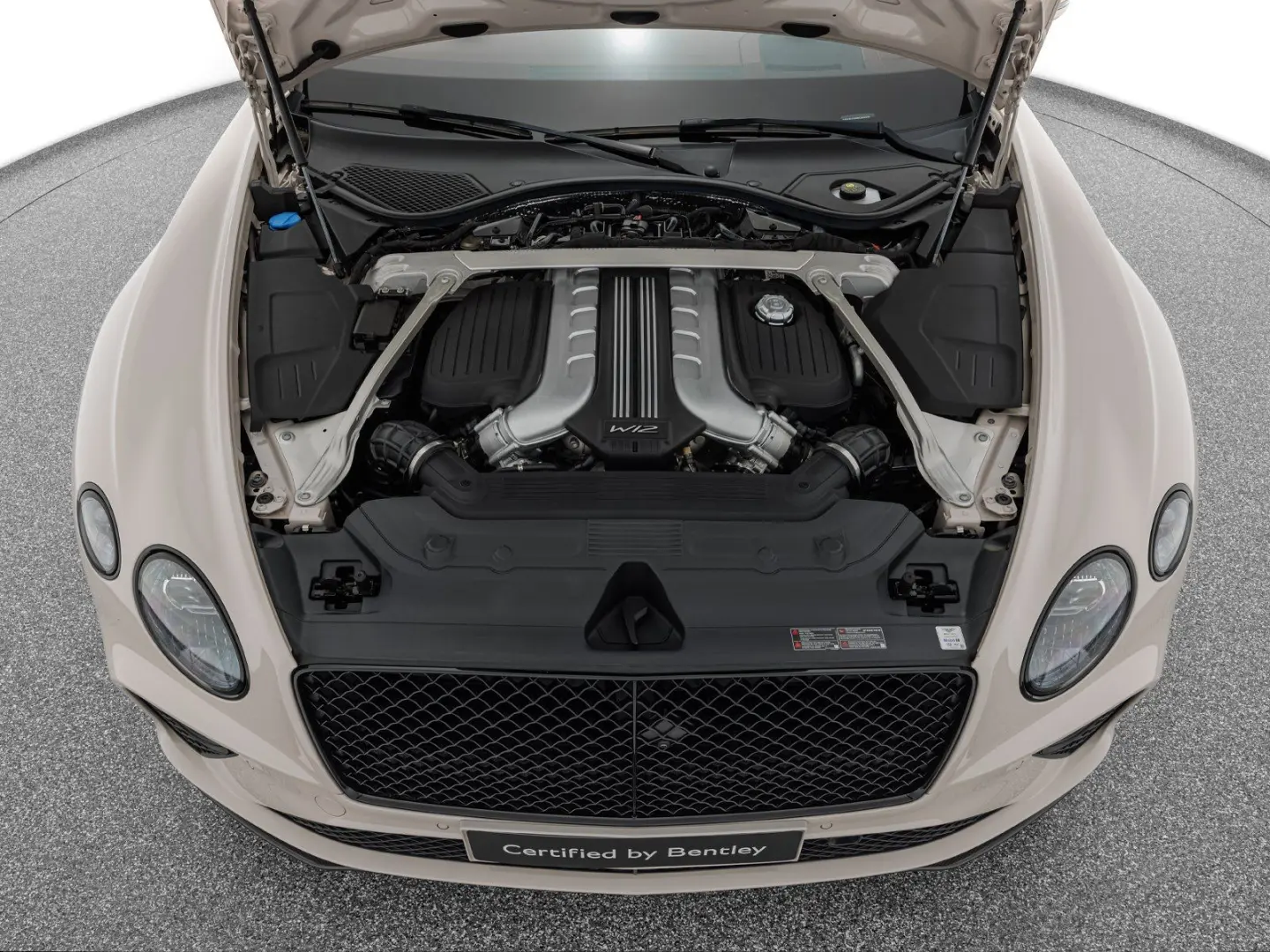 Continental GTC Speed   Carbon Ceramic Brakes