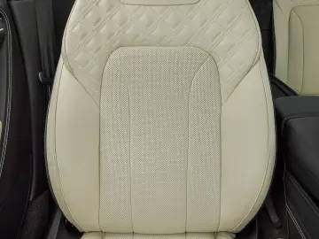 Continental GT Speed   Carbon Ceramic Break