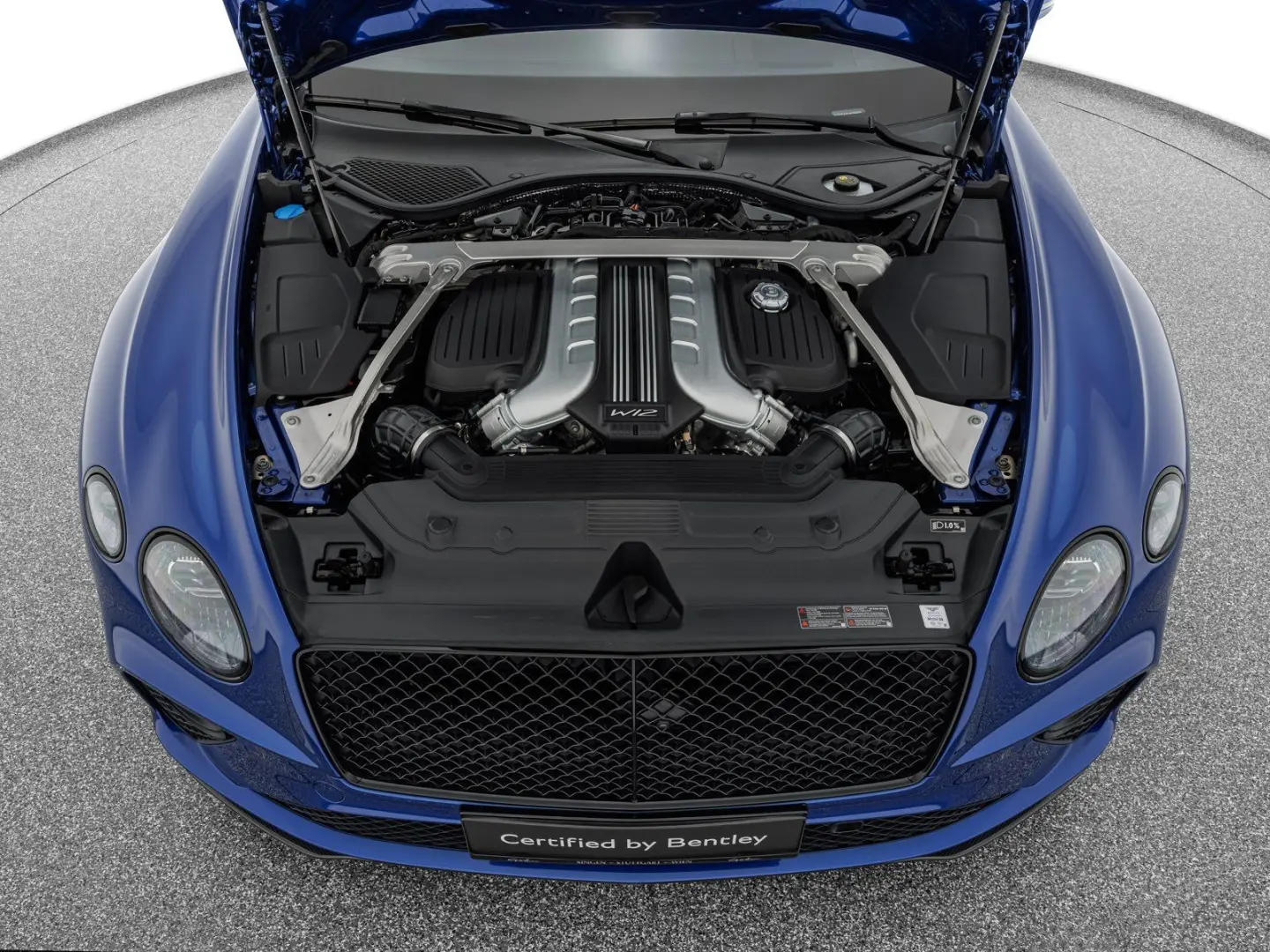 Continental GT Speed   Carbon Ceramic Break