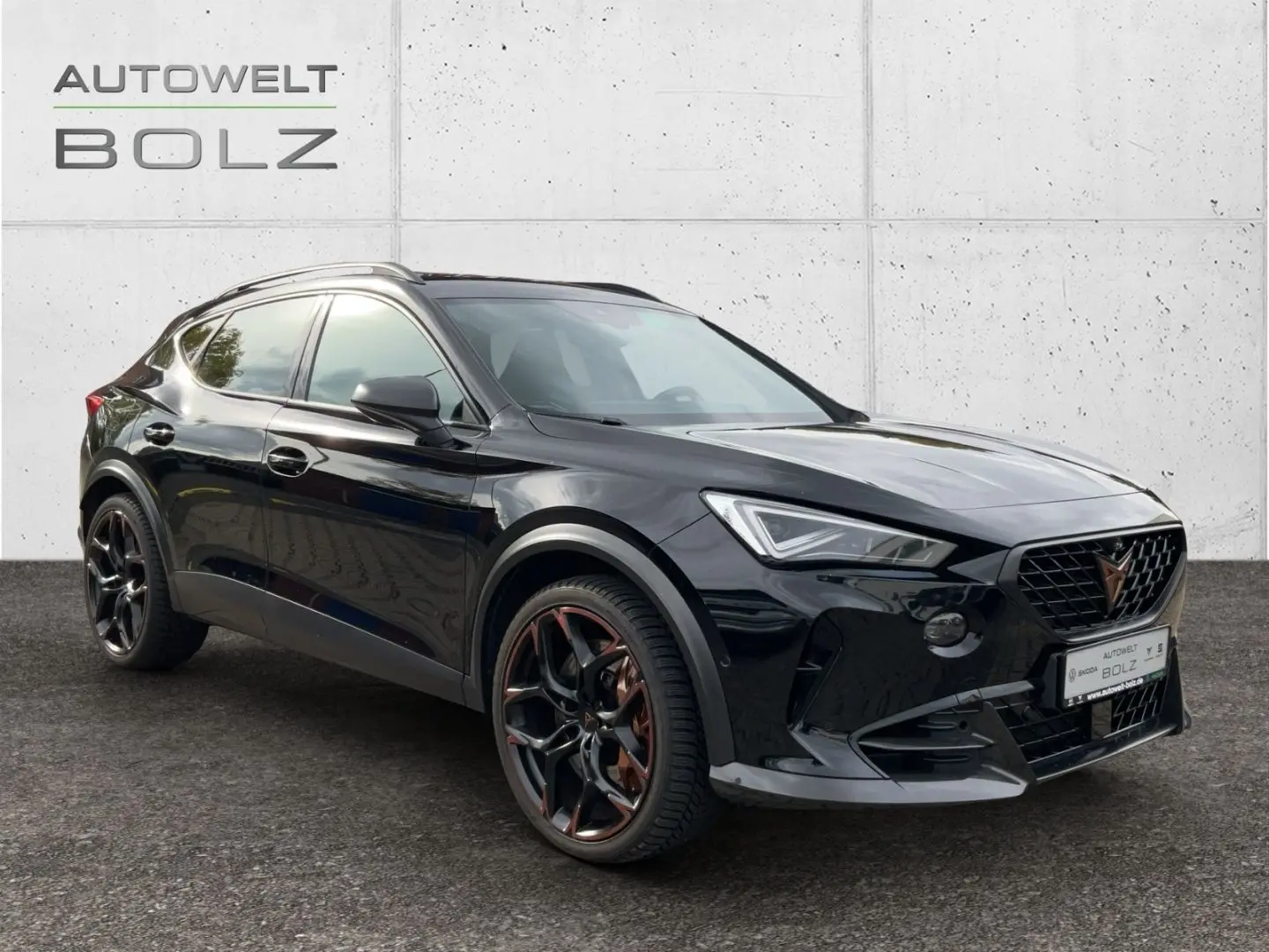 Formentor VZ5 4Drive 2.5 TSI Leder CUP Sitze Bea