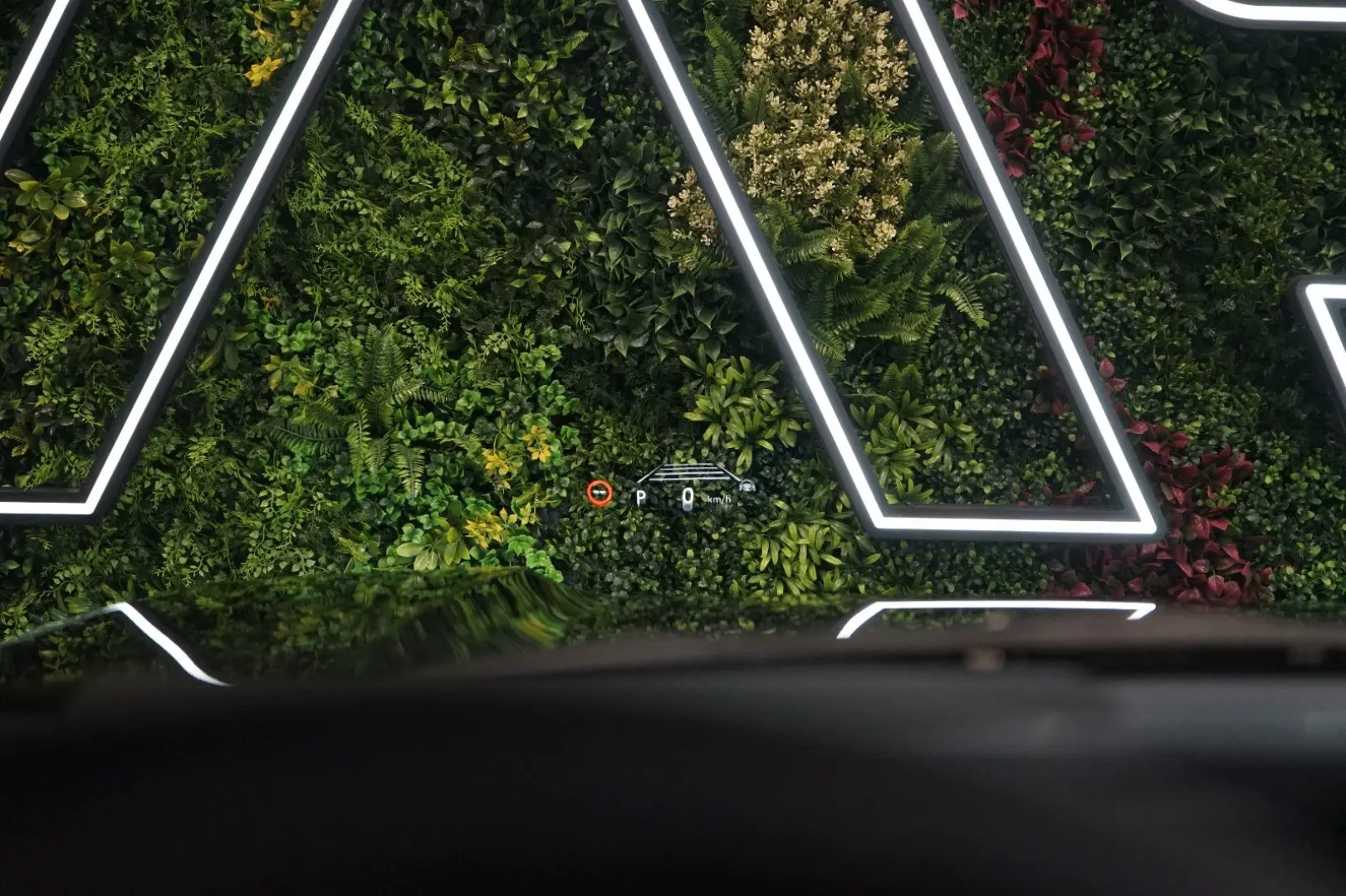 Land Cruiser EXECUTIVE AUX.HEAT JBL 74.545€NETTO