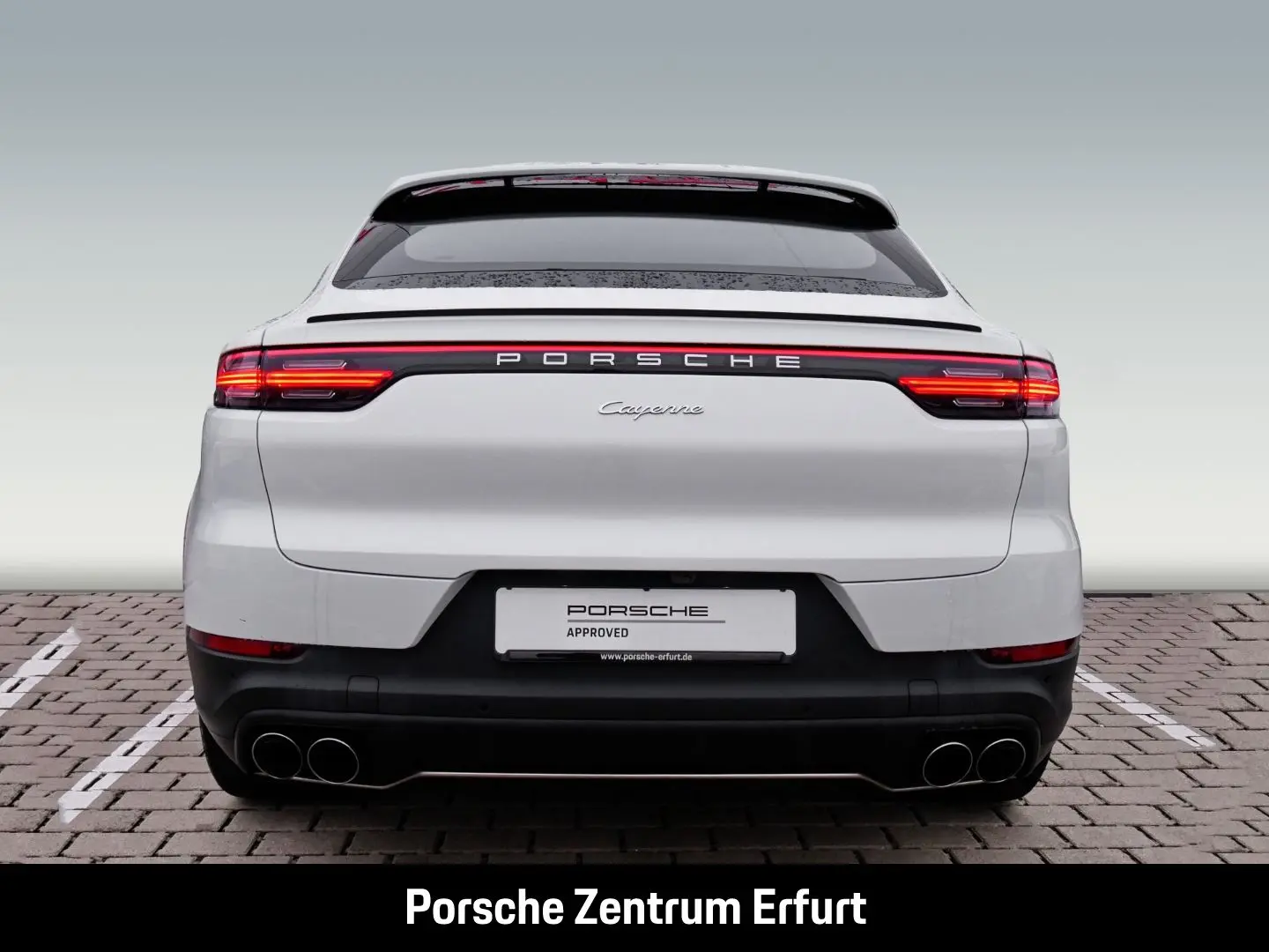 Cayenne Coupe Surround View Bug und Heckblende E