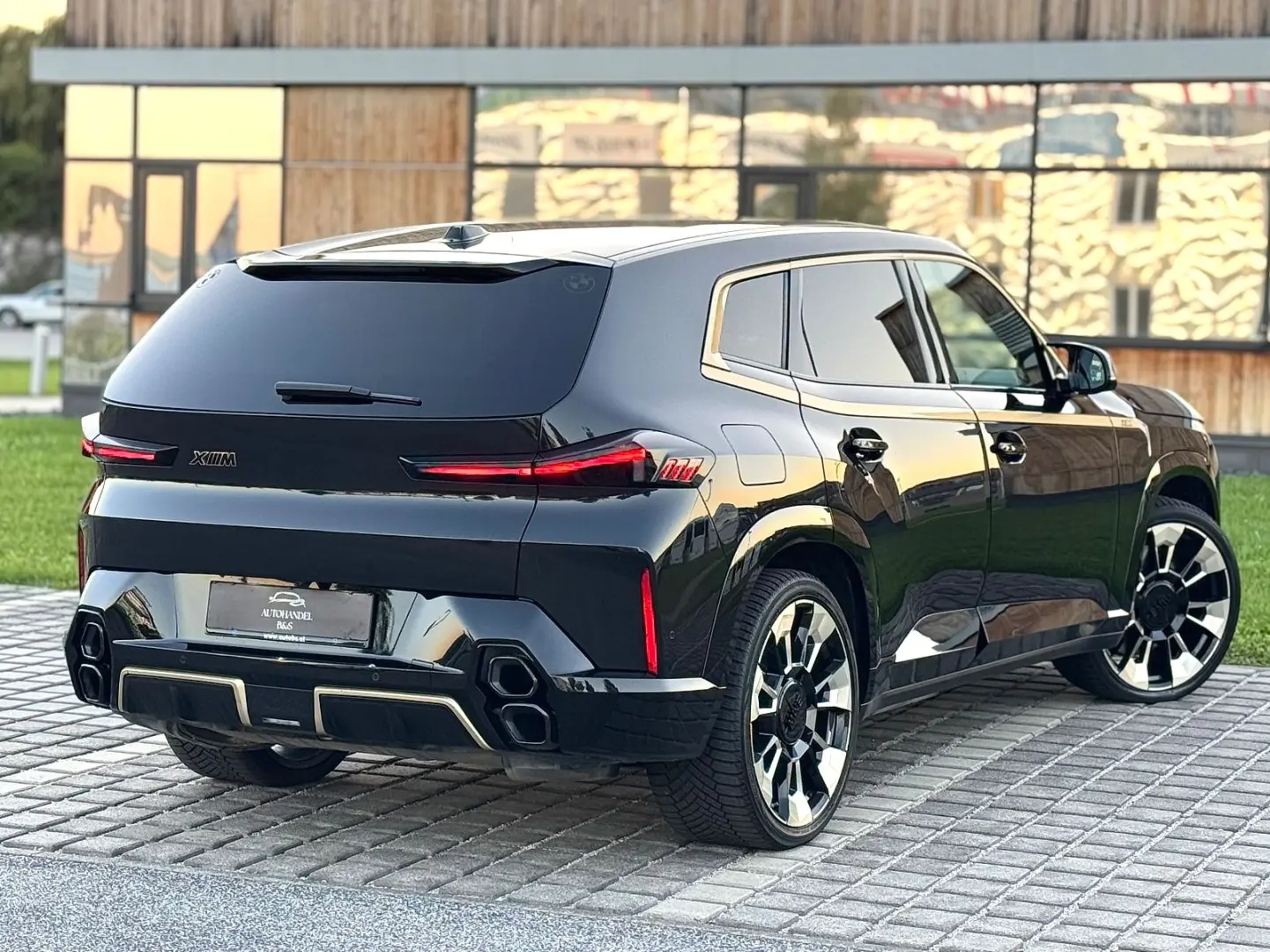 XM  BLACK-GOLD  B&W  FULL