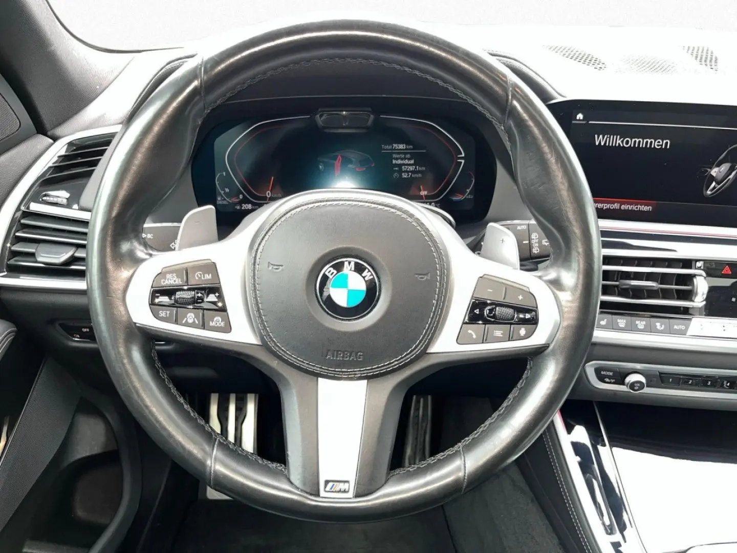 X5 xDrive30d M Sport ACC AHK Pano DAPro KAM HUD