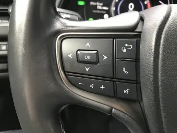 Lexus UX 250h (E-FOUR) MIDNIGHT Edition