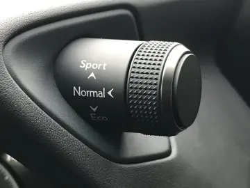 Lexus UX 250h (E-FOUR) MIDNIGHT Edition