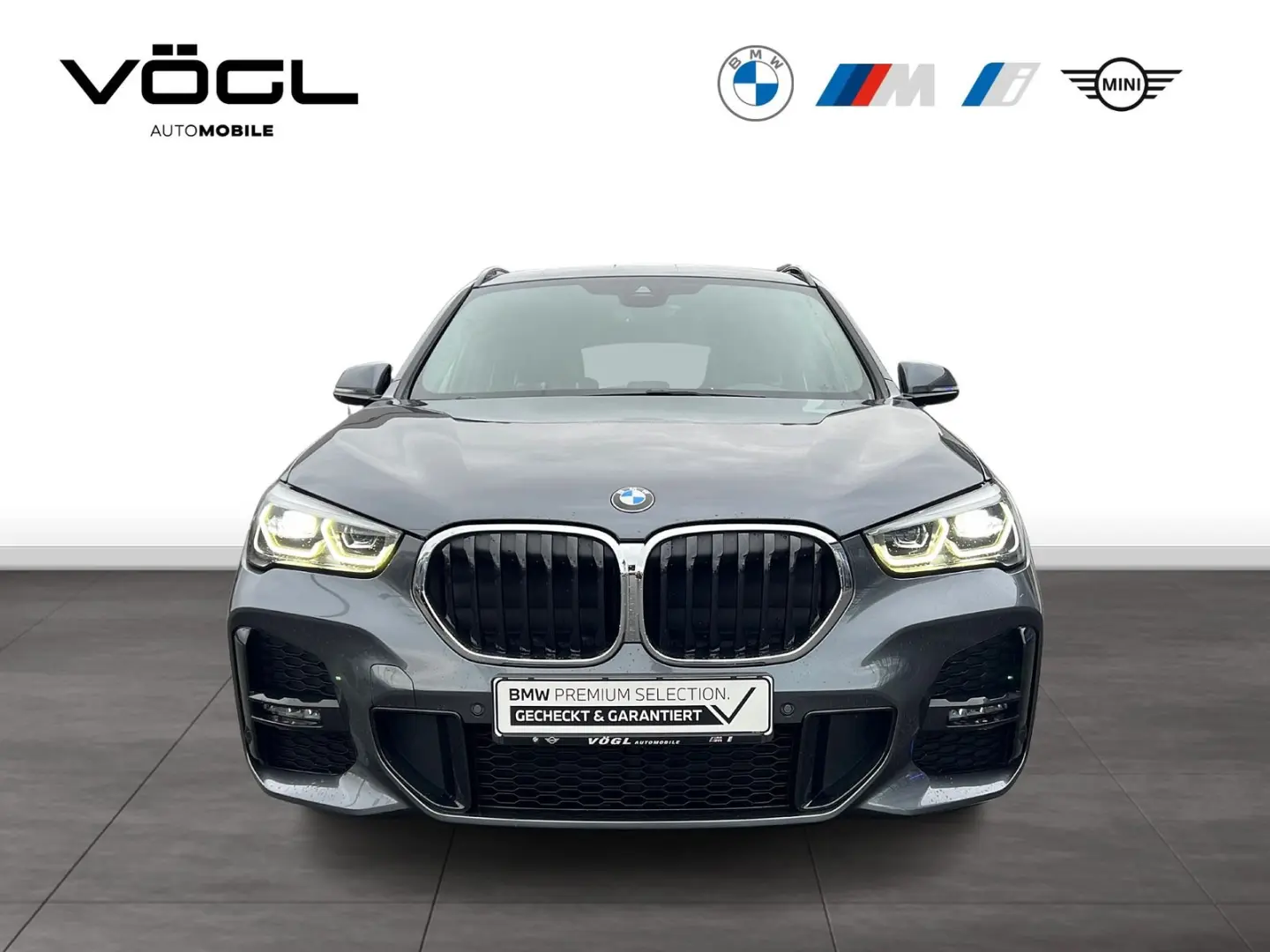 X1 xDrive20d M Sportpaket HiFi DAB LED RFK Navi