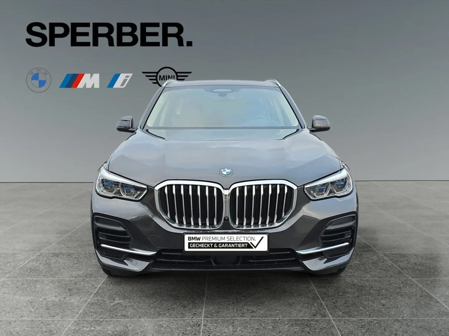 X5 xDrive30d AHK 360 Kamera Komfortsitze Laser