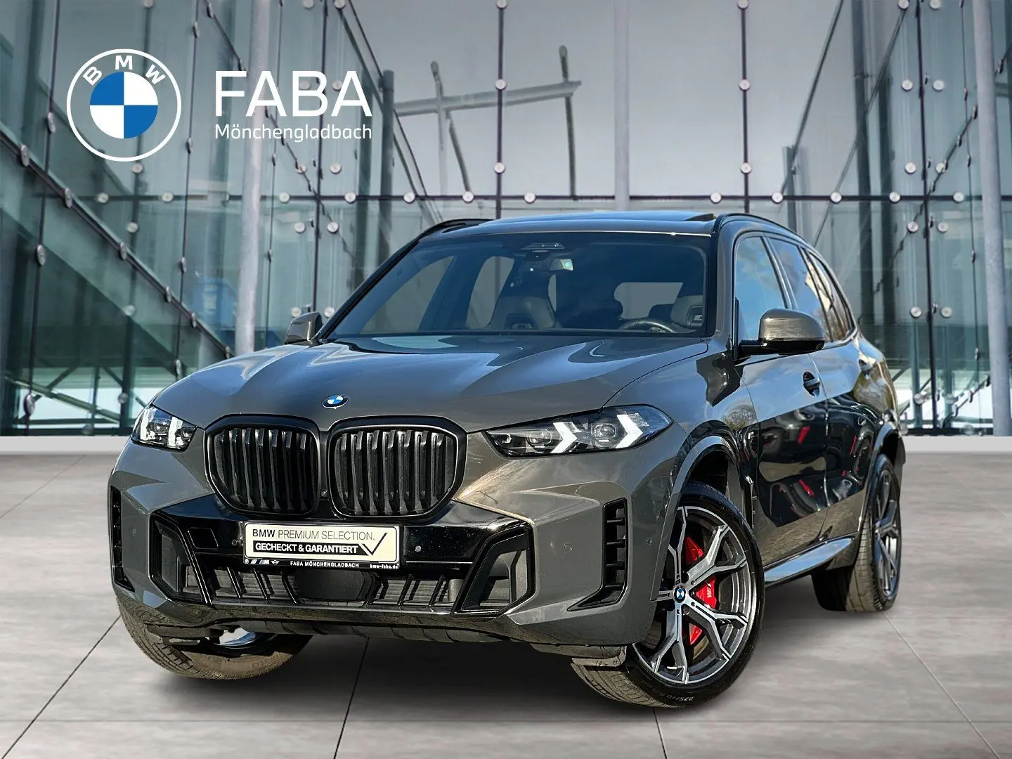 X5 xDrive30d M Sportpaket Gestiksteuerung DAB
