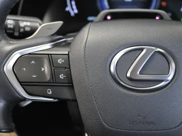 Lexus RX 350h Luxury MarkLevinson Sc Ventilate PANORAMA TVA