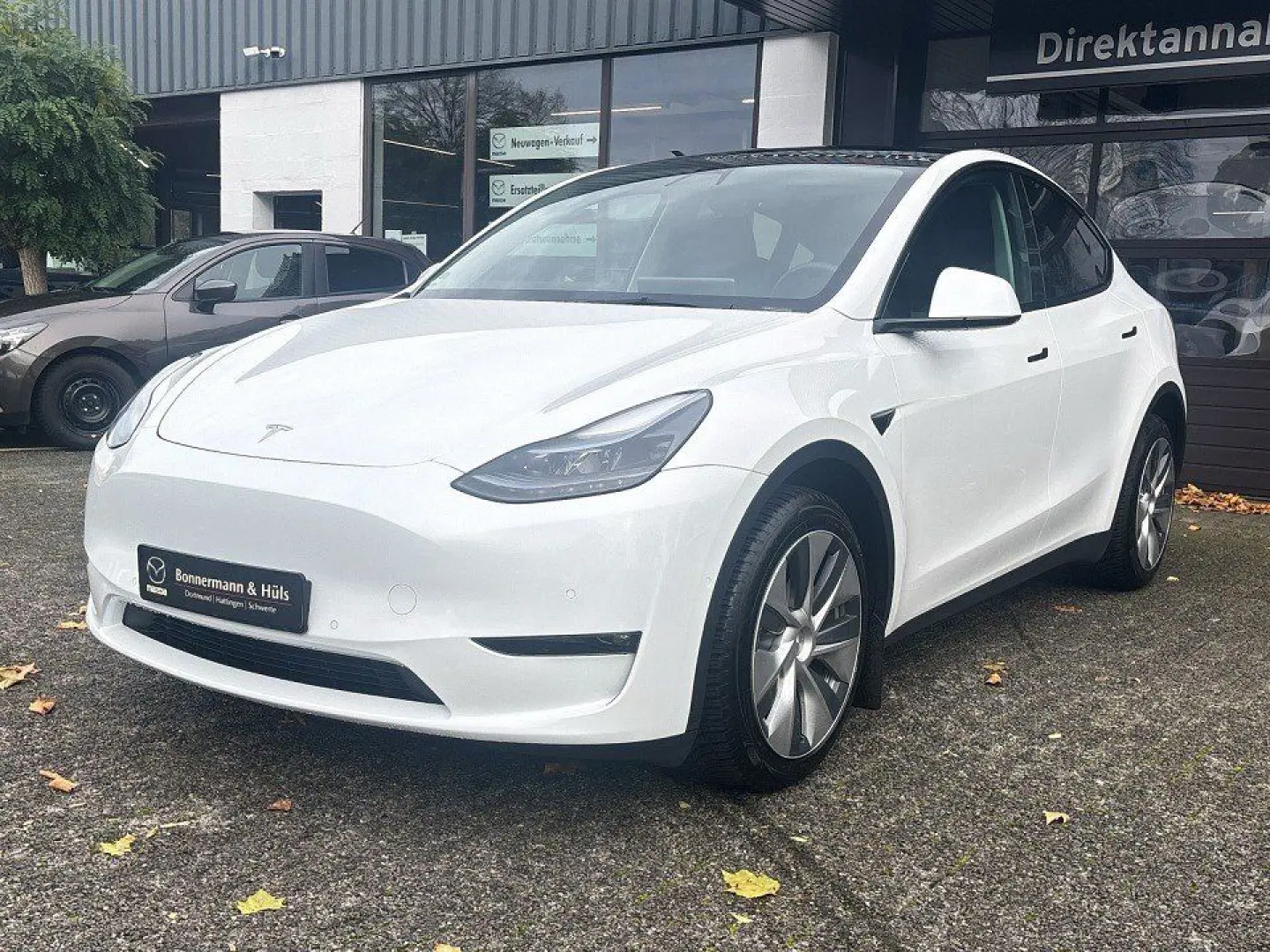 Model Y Long Range AWD  Klimaautomatik Rückfahrk