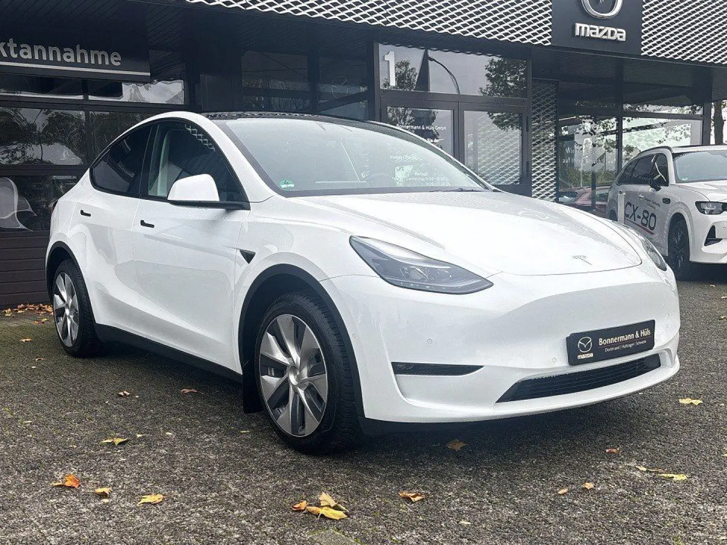 Model Y Long Range AWD  Klimaautomatik Rückfahrk
