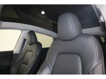 Model Y Performance Dual AWD SH LED