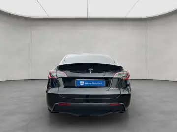 Model Y Performance Dual Motor AWD