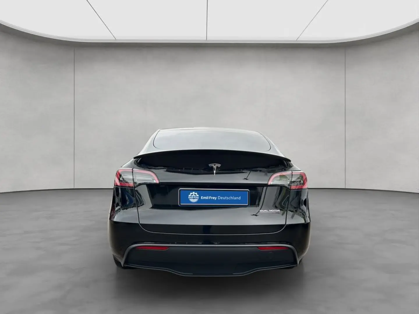 Model Y Performance Dual Motor AWD