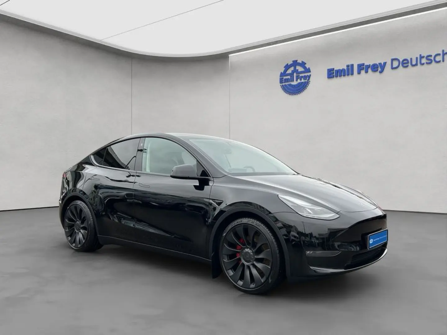 Model Y Performance Dual Motor AWD