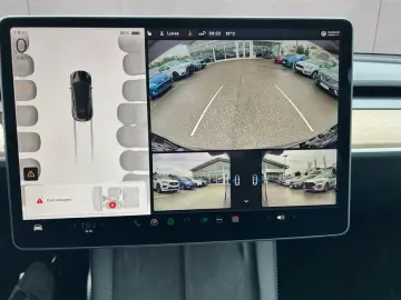 Model Y Performance Dual Motor AWD