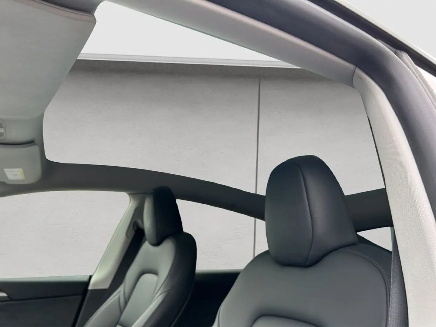 Model Y Performance Dual Motor AWD