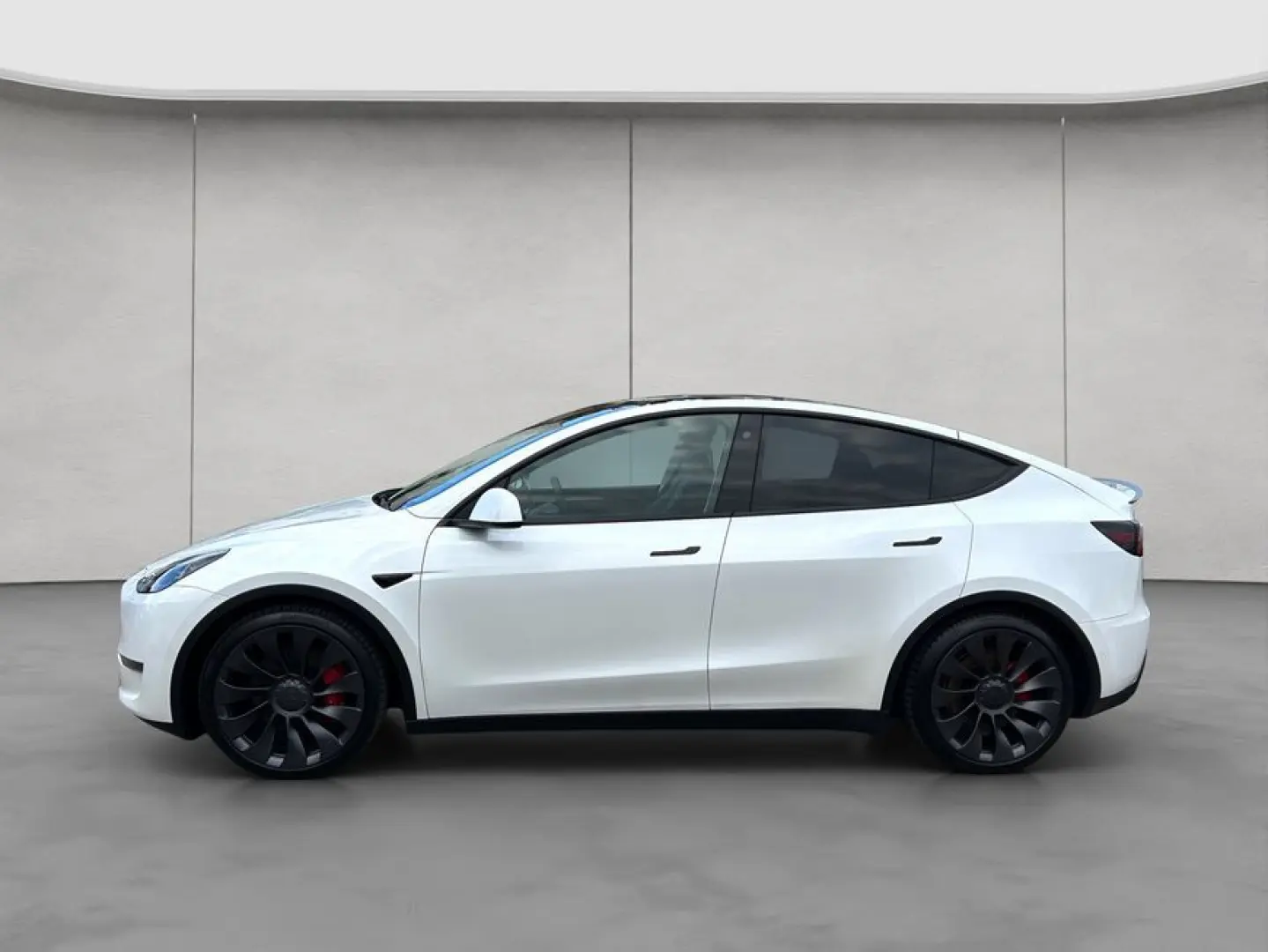 Model Y Performance Dual Motor AWD