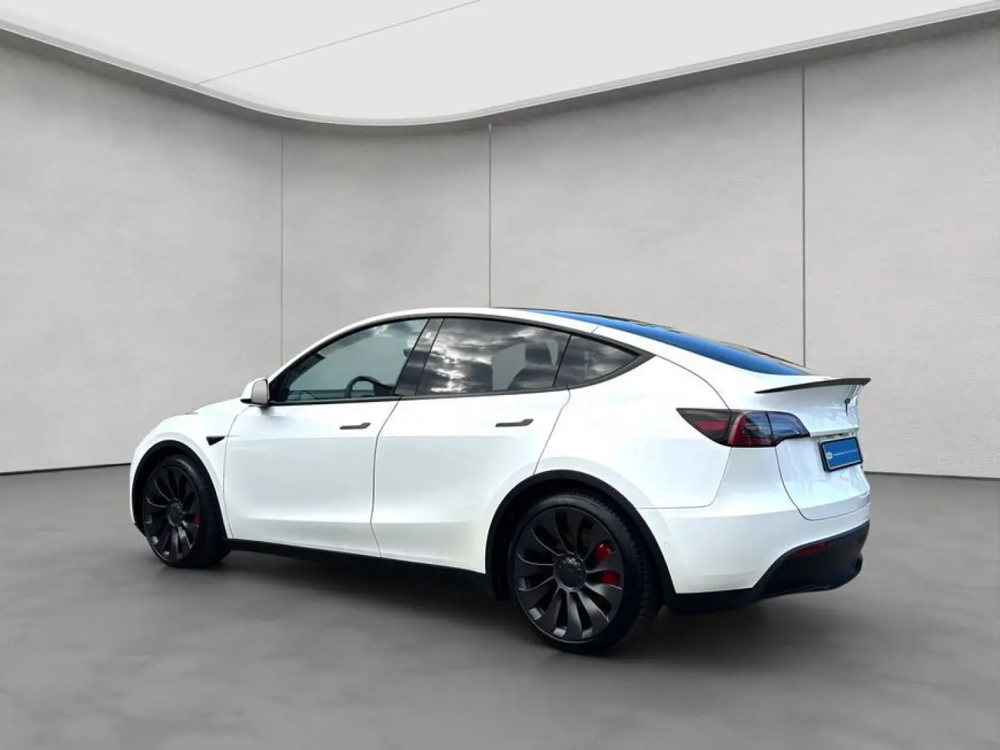 Model Y Performance Dual Motor AWD
