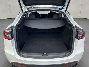 Model Y Performance Dual Motor AWD