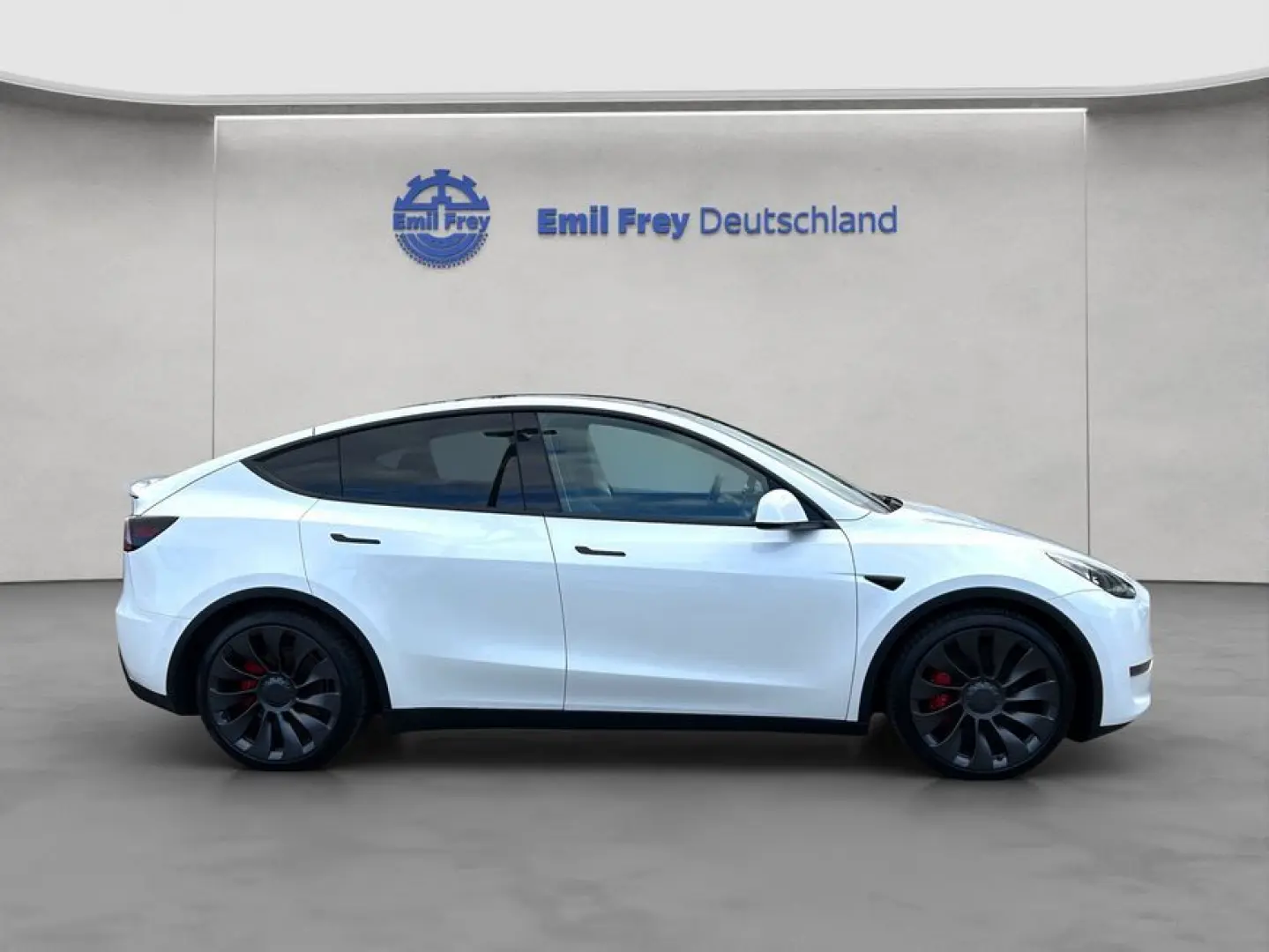 Model Y Performance Dual Motor AWD