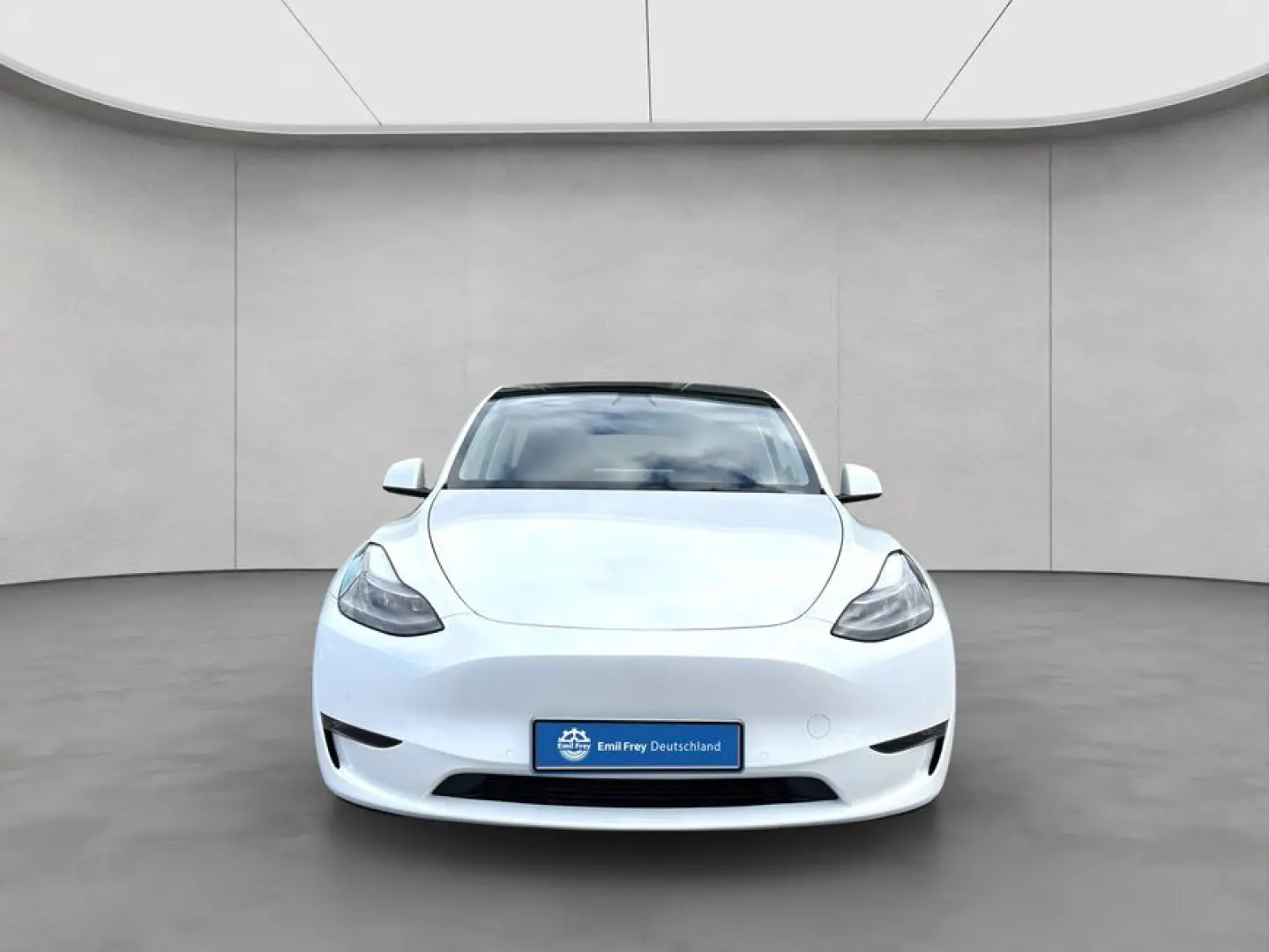 Model Y Performance Dual Motor AWD