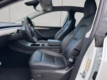 Model Y Performance Dual Motor AWD