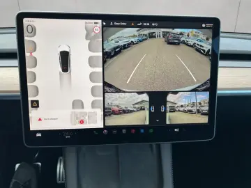 Model Y Performance Dual Motor AWD