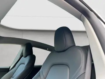 Model Y Performance Dual Motor AWD