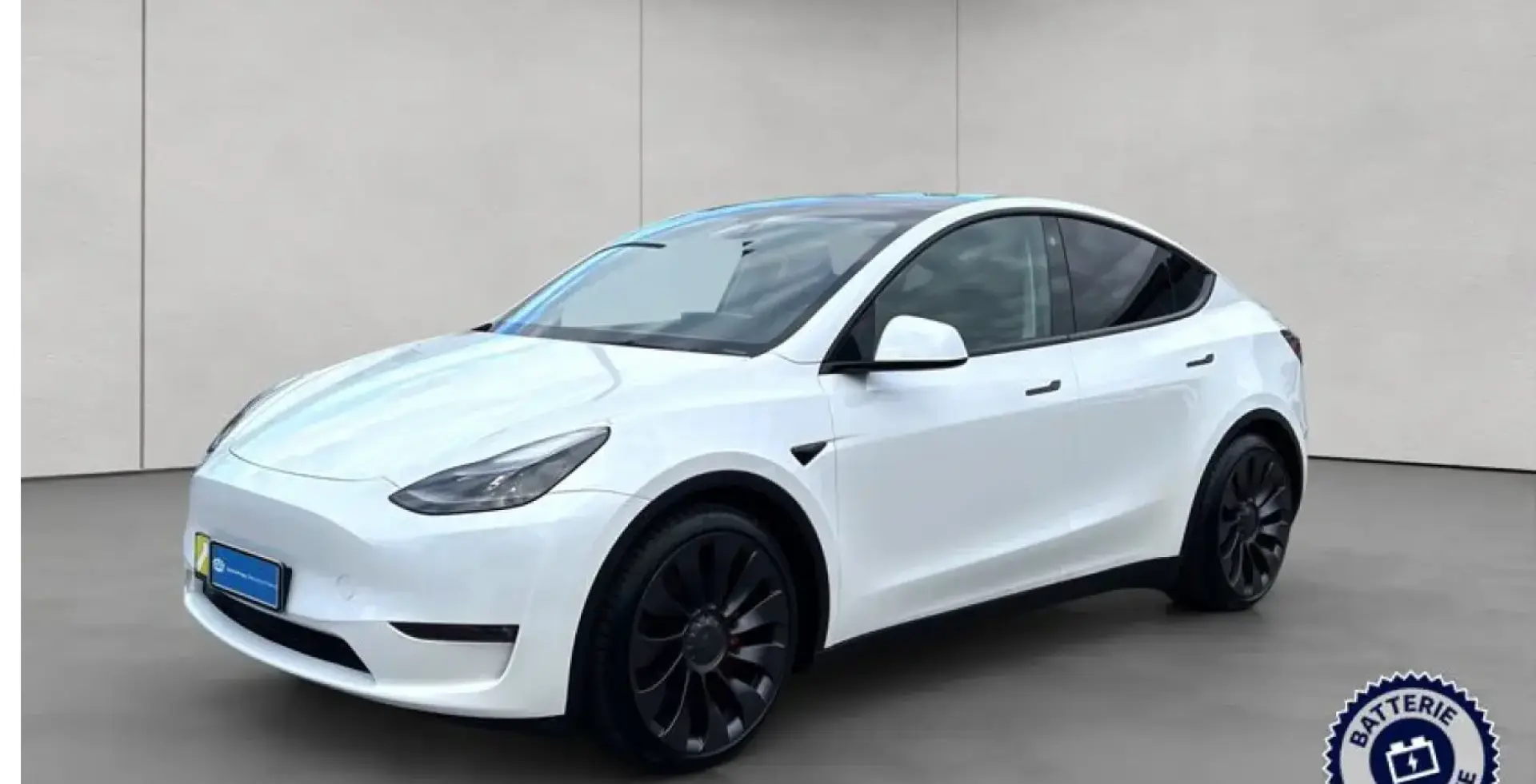 Model Y Performance Dual Motor AWD