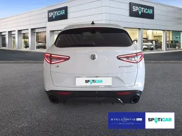 Stelvio 2.0 Turbo 16V Veloce Q4 AT8