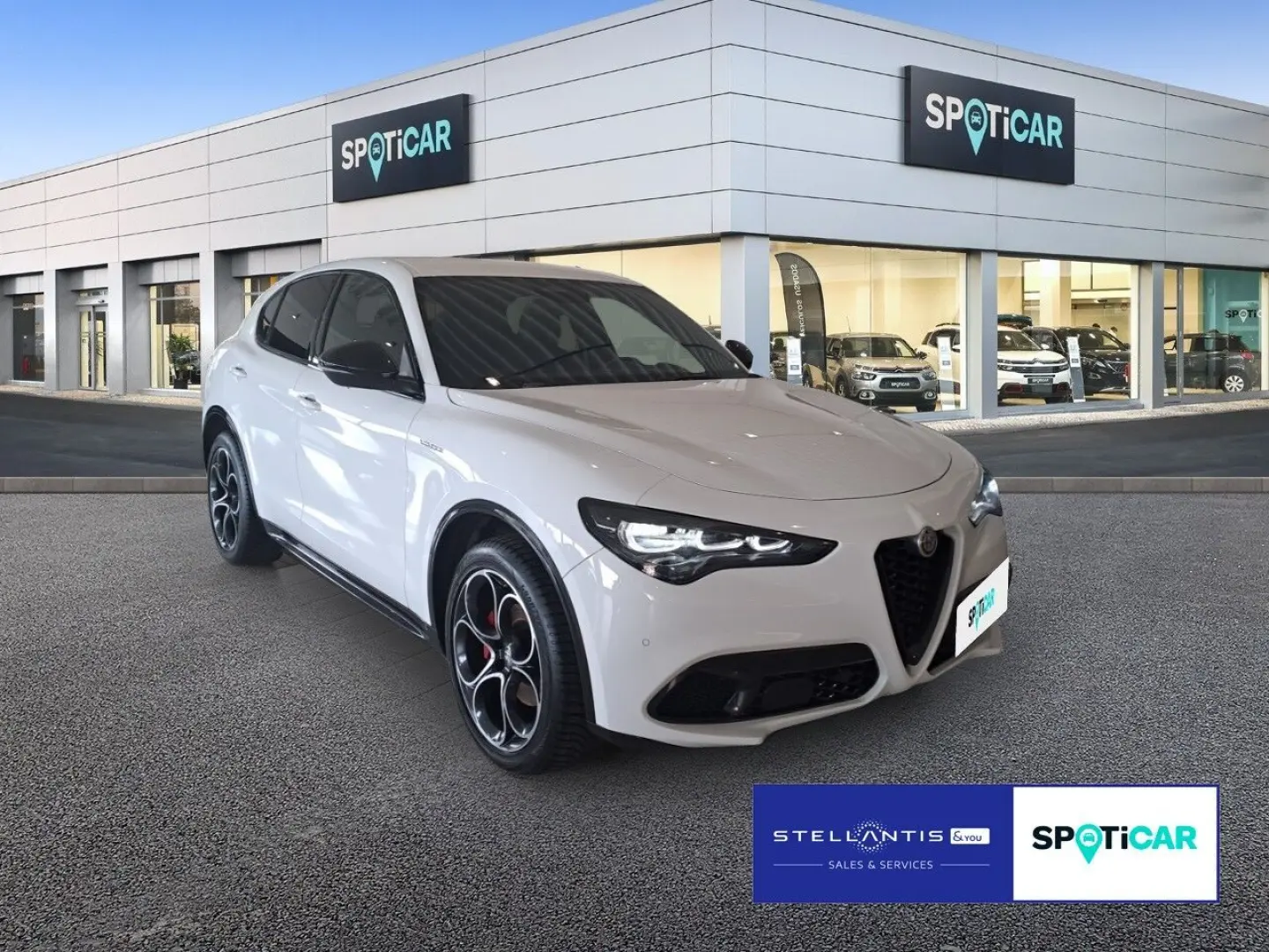 Stelvio 2.0 Turbo 16V Veloce Q4 AT8