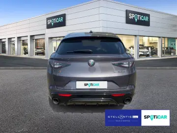 Stelvio 2.0 Turbo 16V Veloce Q4 AT8